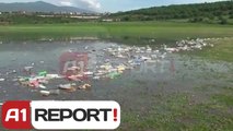 A1 Report - I gjithe Kukesi në aksion, Liqeni i Fierzes pastrohet nga plehrat