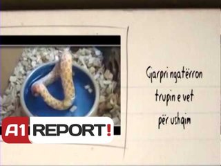 A1 Report - Rreze Dielli dt 05 Maj 2014 Titujt nga Kultura ne shtypin e Dites