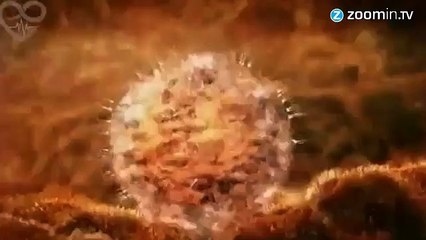 Vea el recorrido que hizo cuando era un espermatozoide y su crecimiento