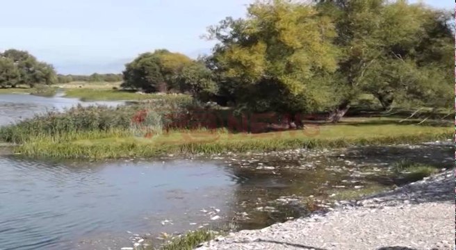 Ministria e mjedisit e vendosur për të çuar në fund kauzën për pastrimin e territorit