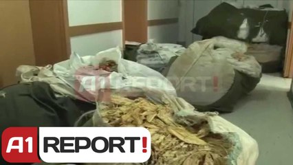 A1 Report - Kapen 9 mushka me 1 ton duhan shqiptar kontrabande ne Vermice