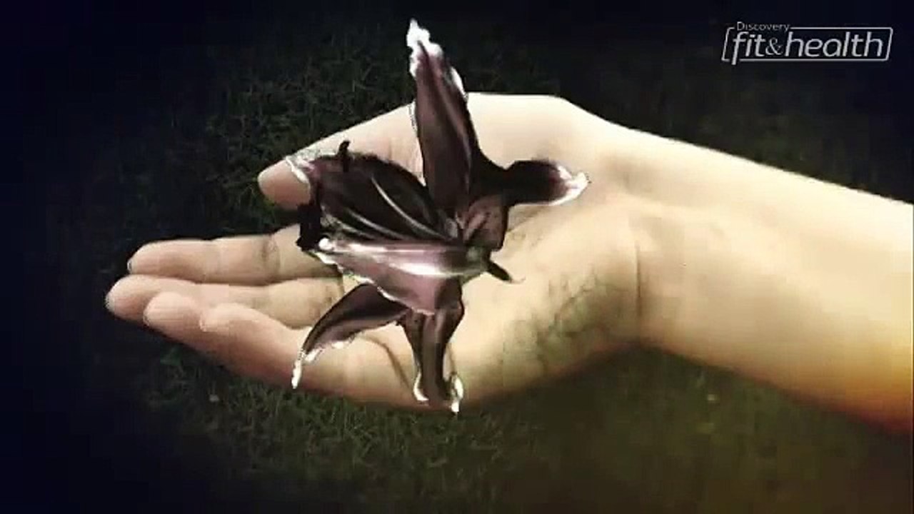 Death From H2O | Curious & Unusual Deaths