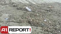 A1 Report - Fier, vija e bregdetare e Darezezes, probleme me mbetjet