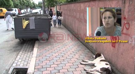 Sensibilizimi i "Alarm" për plehrat para çerdhes numër dy në Tiranë