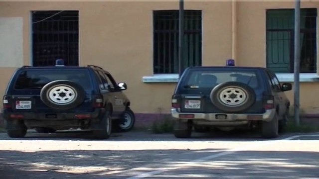 Krujë, asgjësohen 200 rrënjë kanabis. Bret 2014 asgjësohen 5 parcela