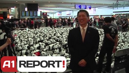 A1 Report - Hong Kong, 1600 panda lodër vendosen në aeroport, promovim për mbrojtjen e tyre