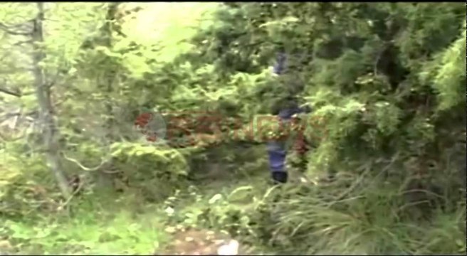 Trafiku i drogës me Greqinë Lazaratasit kartele droge, një mushkë blihet 1000 €