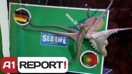 A1 Report - Oktapodi Regina zgjedh Gjermaninë fituese në ndeshjen me Portugalinë