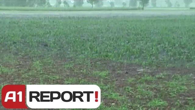 A1 Report - Korçe, bresheri demton te mbjellat Fermerët: Humbëm prodhimet