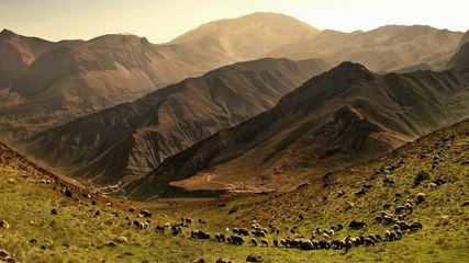 Gheorghe Zamfir | The Lonely Shepherd