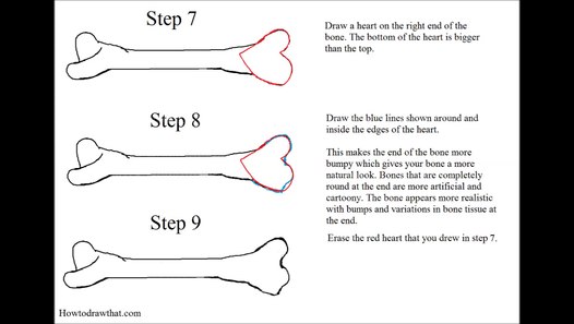 How to draw a dog bone / bones lesson step drawing tutorial - video