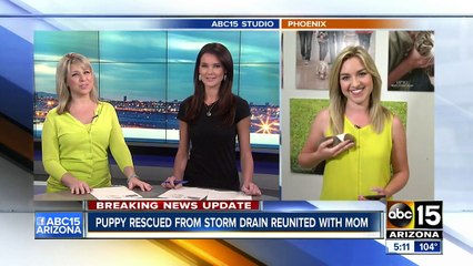 Puppy stuck in pipe reunited with mother Friday