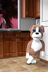 FUNNY TOM 2015 ( USTAD SHAGIRD SY )