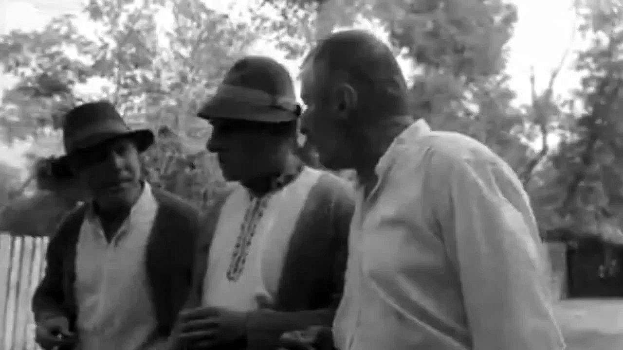 Am facut la tigari si m-am gandit... Nu va spun ca s'teti prosti si nu stiti sa va tineti gura.