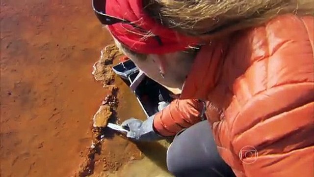 GLOBO REPÓRTER - Argentina Selvagem - 21-08-2015 Parte Única Online Completo Íntegra 21/08/2015 HD 720p