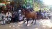 Pyara Hassan Zaman Khichi Da - -Khichi Horse Dancing club- Haji Shafqat Ali Khan Khichi Khan-qa-dogran, Asghar Khan Khichi