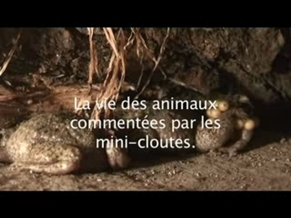 la vie des animaux par les minicloutes