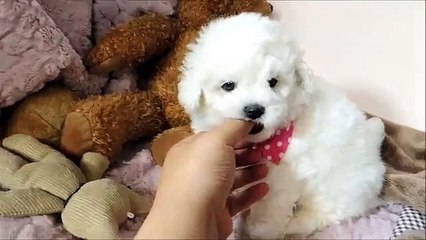 Γ#」수원출장안마¹등∠【OIO-2156-42O2】∠¹위 성남출장안마 만나서tolk 수원출장마사지/ 오산출장안마