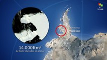 Derretimiento de la Antártida