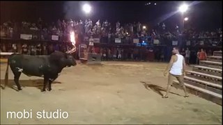 man vs bull