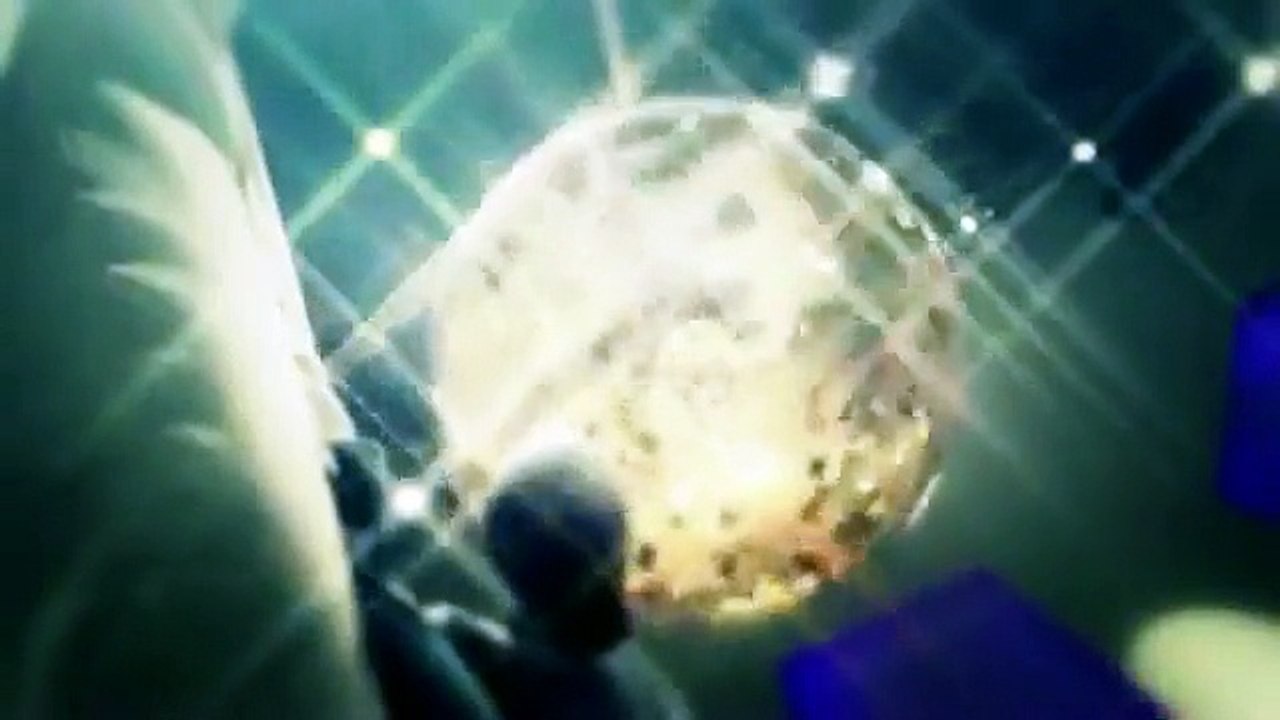 MONEY CAN'T BUY LOVE BY O.G. HIP HOP RAP MUSIC VIDEO!!  HIP HOP ARTIST FRANCESCO          DI CARLO