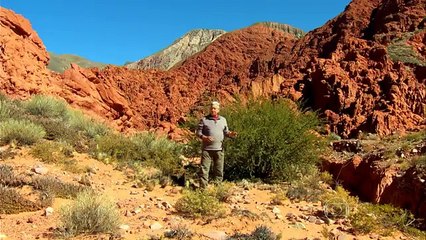 Globo Repórter 2/3 - 2108