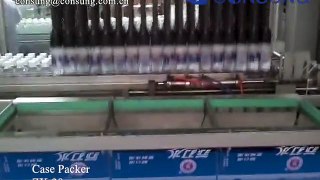 Square bottle carton packing machine,case packing machine