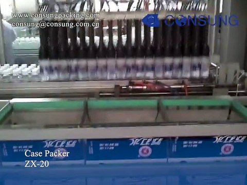 Square bottle carton packing machine,case packing machine