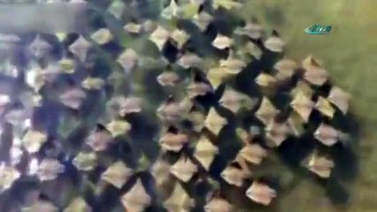 Gökyüzü değil denizin dibi