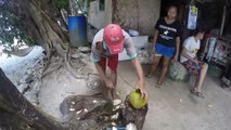 Comment couper une noix de coco en moins d'une minute! GoPro (Philippines - Palawan)