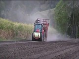 sugar cane planting in australia