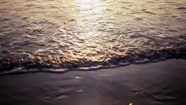 Jamie Woon - Shoulda (Samy Chelly Remix)