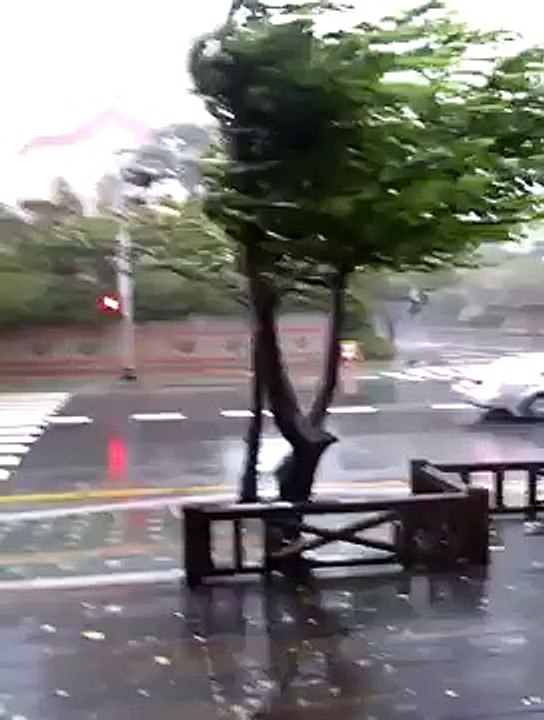 2012 16th Typhoon Sanba in Busan South Korea(9AM)
