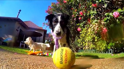Pool party - Summer time 2015  [GoPro Hero 4 Silver Edition]