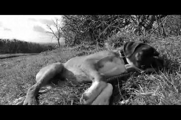 Le Rakuen promenades 2015-03 Jascot