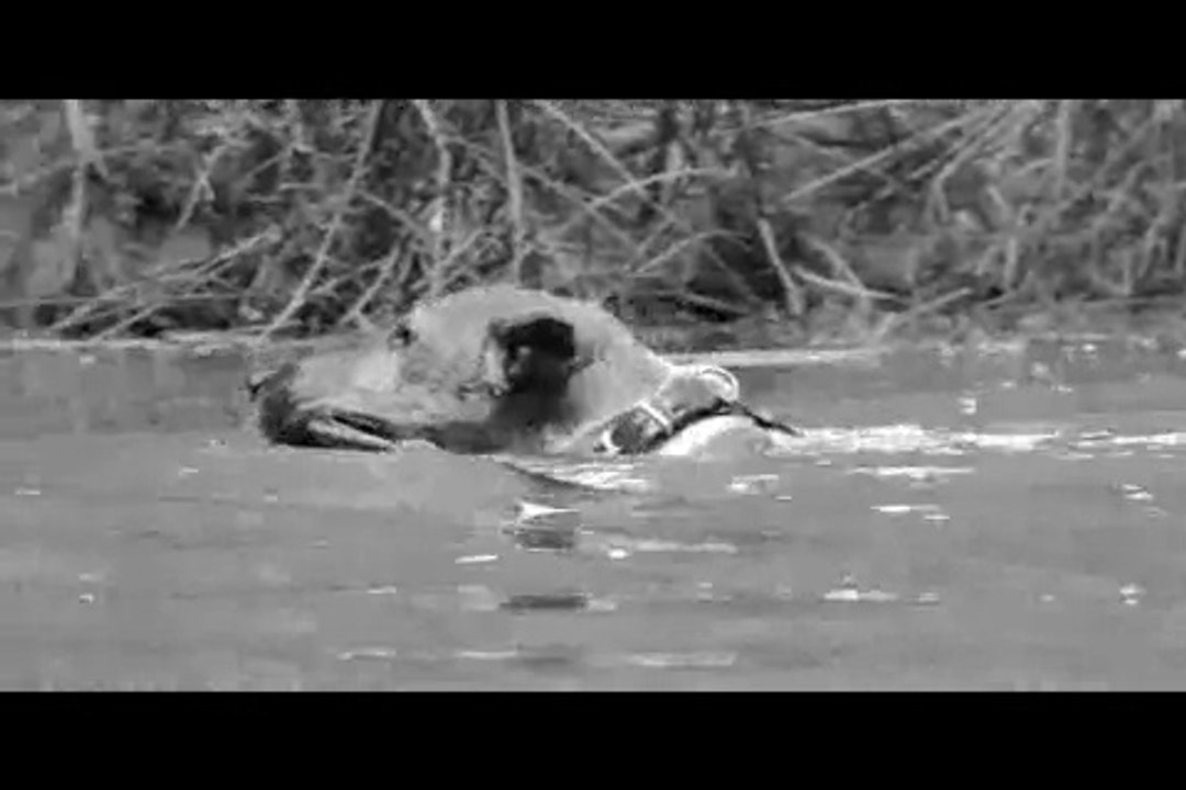 Le Rakuen promenades 2015-07 Fuji