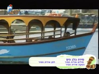 אירית תמיר - מתוך הופ ילדות ישראלית (מותק של בייביסיטר)