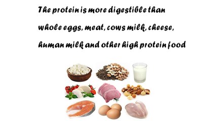 Hemp Seeds Weight Loss