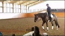 Jane Savoie Gives Training Tips To Straighten a Dressage Horse with Shoulder-in