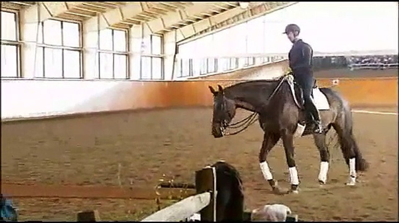 Jane Savoie Gives Training Tips To Straighten a Dressage Horse with Shoulder-in