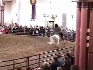 Andalusian Demo at Illinois Horse Fair