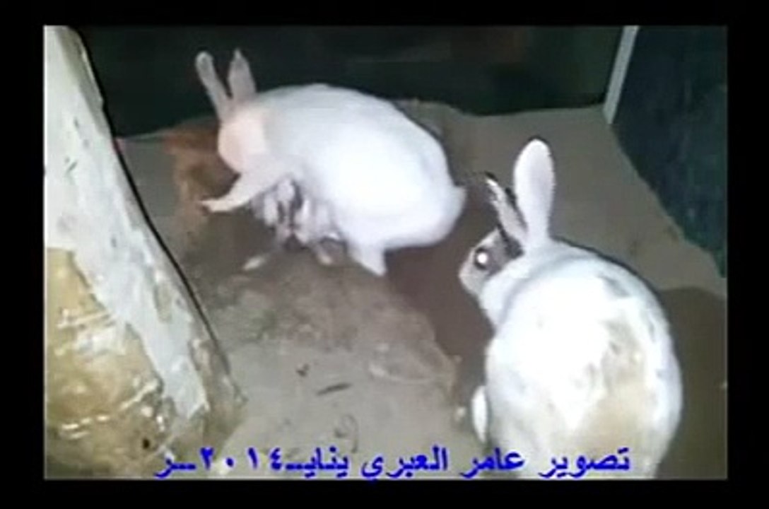 ALLAH Ki Qudrat_ALLAH Ki Shaan_ Miracle Of ALLAH_Must Watch