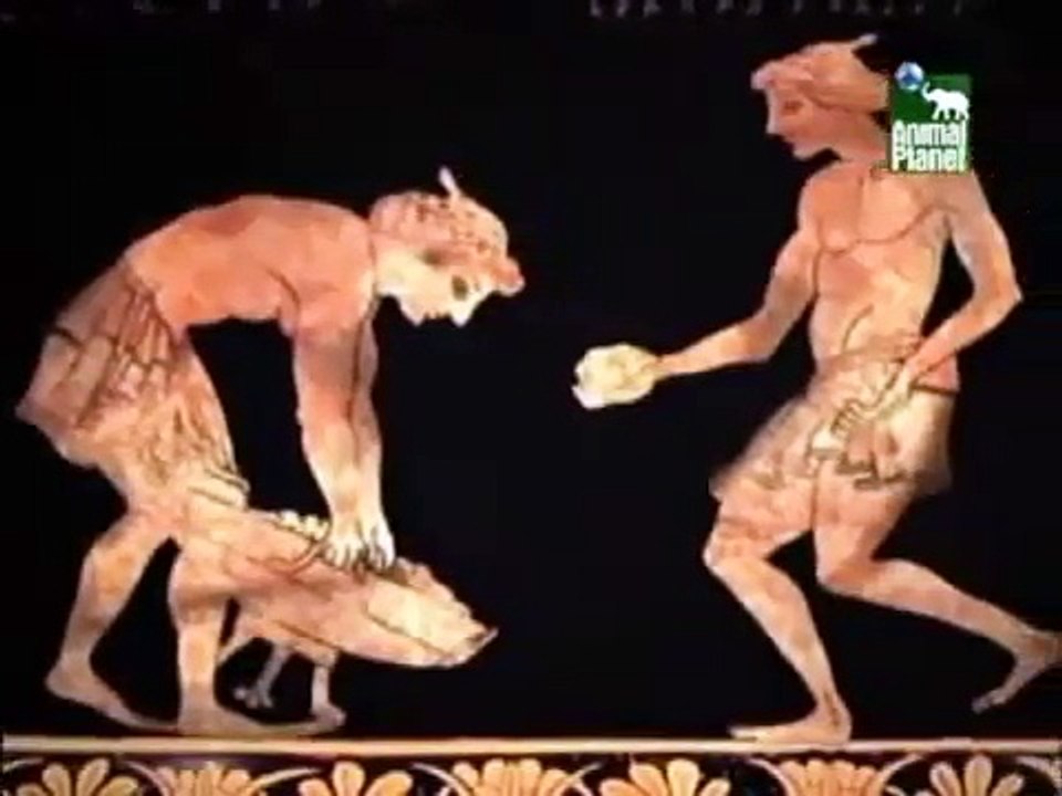 Animal Planet al Extremo - Glotones 2/5