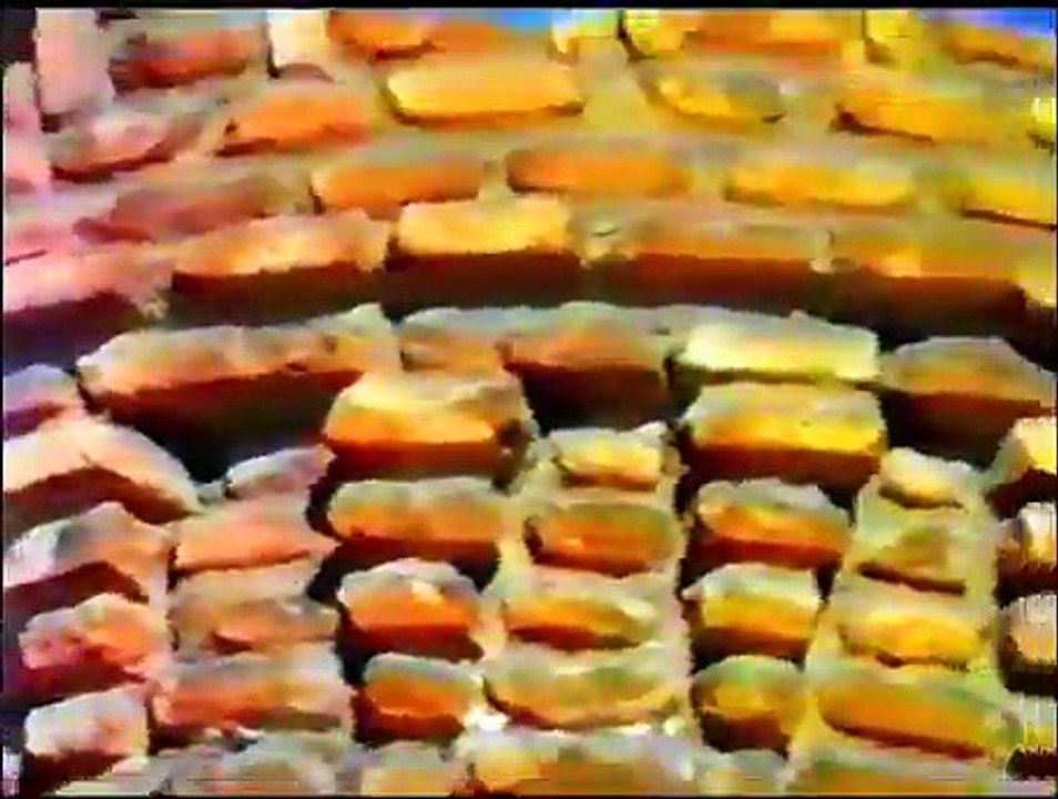 Tercio Gran Capitán 1º de la Legión - Segunda bandera - 6º cia - Jura Bandera - Abril 1991