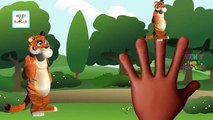 Finger Family Masha And The Bear | Masha & Bear Cartoon Animation Finger Family Nursery Rhymes