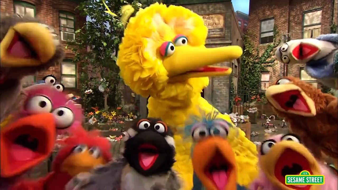 Sesame Street: Big Bird sings "That's Cooperation"