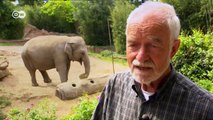A Vision of a Zoo to Preserve Wildlife | Documentaries and Reports
