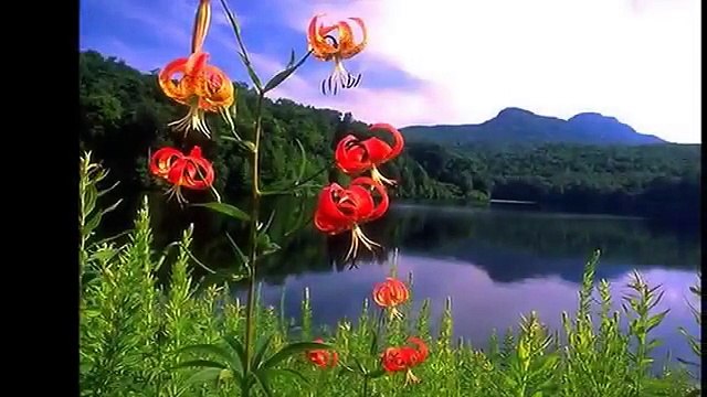 Ye Kiski Sada Hai - Dr. Bhupen Hazarika