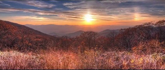 I Will Follow You Into the Dark Trailer