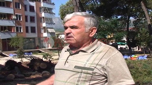 Berat, priten pemët shumë vjeçare për lulishten e re - Ora News- Lajmi i fundit-